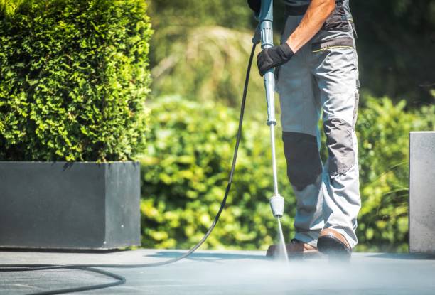 Trusted Lincoln Park, MI Pressure Washing Services Experts