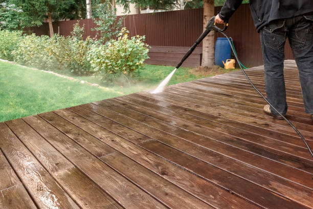 Best Dumpster Area Cleaning  in Lincoln Park, MI